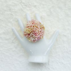 モコモコが可愛い多肉植物のブロッコリーリング～　ピンク 4枚目の画像
