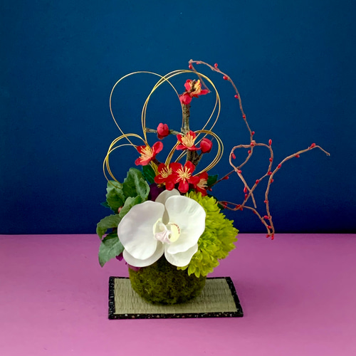 お正月飾り 幸せをよぶ胡蝶蘭の新春コケ玉風アレンジ 置き物 アート