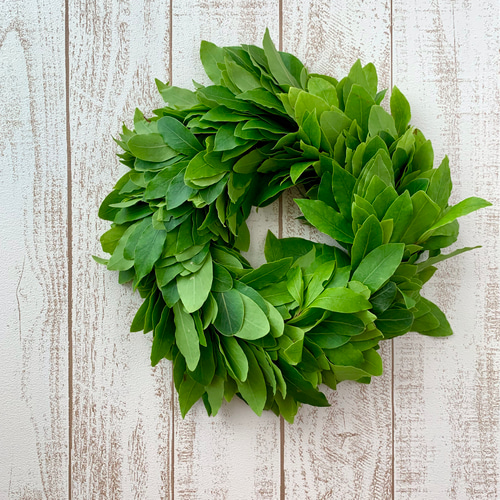 月桂樹リース、ローリエリース、ドライフラワーリース、父の日ギフト