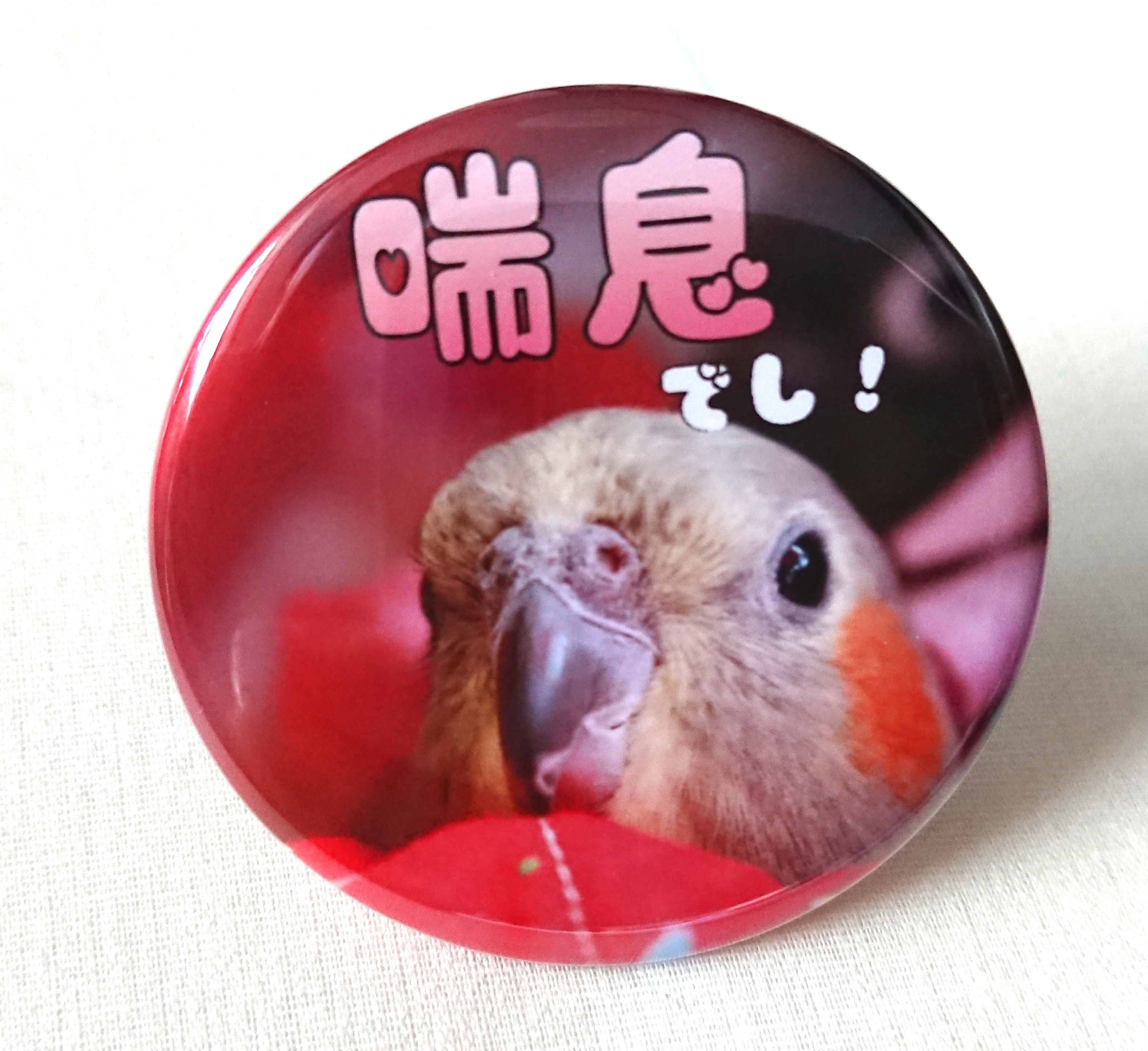 オウムスタンド(コメント用)‼