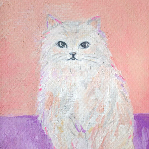 白い猫／原画／額装