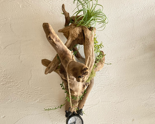 1_5cf27e1846dff1a7cd72424bdd5c