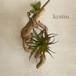 一時値下げプロ作家壁掛け超絶流木アート工芸品　世界観流木絵画　不思議な鹿？ 一時値下げプロ作家壁掛け超絶流木アート工芸品 世界観流木絵画 不思議な