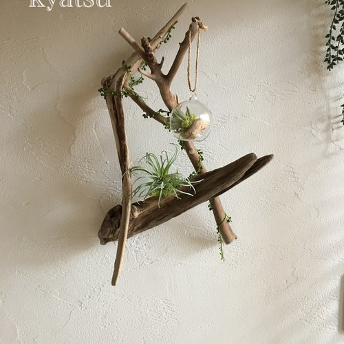 【値下げ】流木アート 置物 インテリア アンティーク 流木アート「牙」/オブジェ/インテリア | 骨董・アンティークの