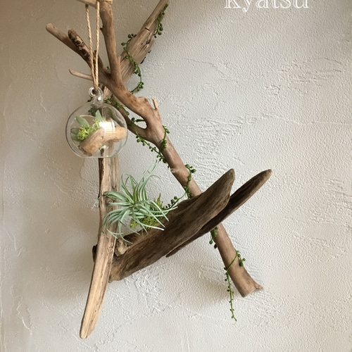 送料着払い】【35】壁掛け 流木アート☆流木グリーン 吊り下げガラス瓶