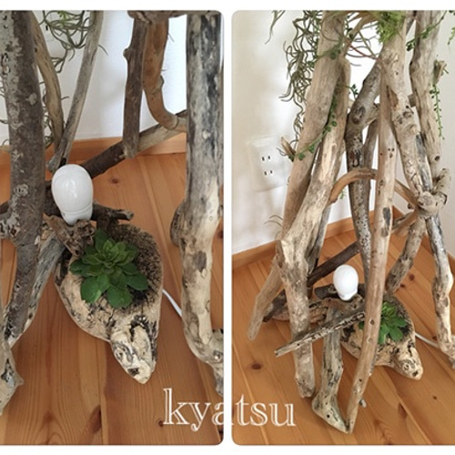 SALE！》【送料込】流木ランプ ライト 照明 その他インテリア