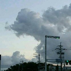 龍雲の写真２枚セット １枚おまけ付き 2枚目の画像