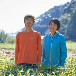 【農家のおやつ】無添加野菜チップス【サクッ!とベジタ棒：25g2袋】ココナッツオイル使用 7枚目の画像