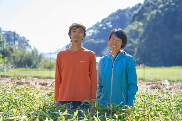 【農家のおやつ】無添加野菜チップス【サクッ!とベジタ棒：25g2袋】ココナッツオイル使用 7枚目の画像