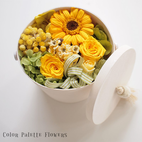 Coffret Collection/Citrus Yellow 3枚目の画像