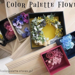 Coffret Collection/Citrus Yellow 5枚目の画像