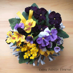 Pansy Mimosa Casquette 1枚目の画像