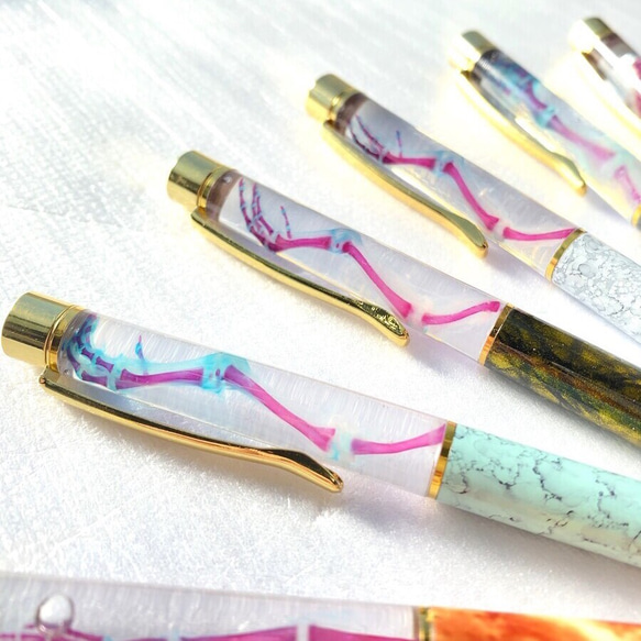 透明標本のボールペン ウズラa ペン・筆記用具 透明標本Clair 通販