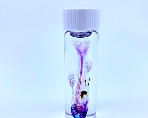 DWK Life Sciences 標本瓶 80mL 242090207 1個 1-8396-01（直送