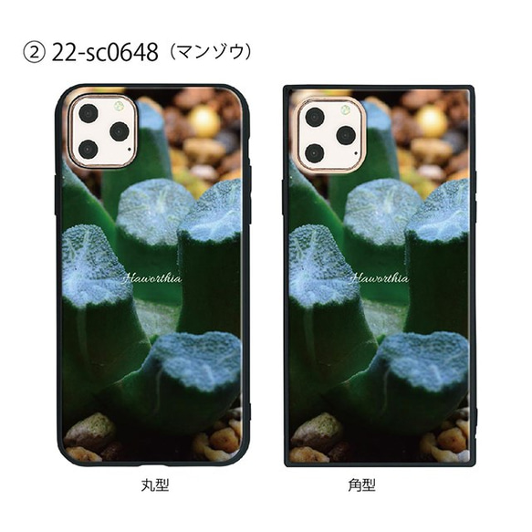 ガラス保護フィルム付 iPhone 11 Pro Max ケース 【プラント植物】 1枚目の画像