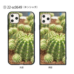 ガラス保護フィルム付 iPhone 11 Pro Max ケース 【プラント植物】 1枚目の画像