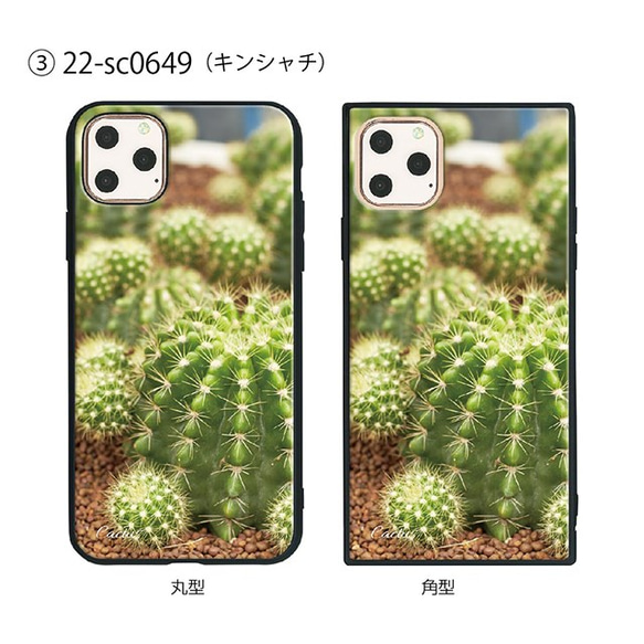 ガラス保護フィルム付 iPhone 11 Pro Max ケース 【プラント植物】 1枚目の画像