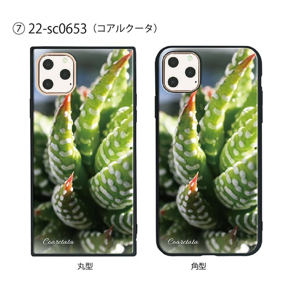 ガラス保護フィルム付 iPhone 11 Pro Max ケース 【プラント植物】 1枚目の画像