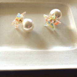 pierce*star×pearl catch* 2枚目の画像