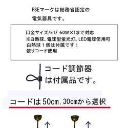  第3張的照片