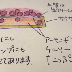 ⚪️あなたのためにチェリータルト巨匠直伝甘酸っぱいしあわせアイスクリームを添えても 7枚目の画像