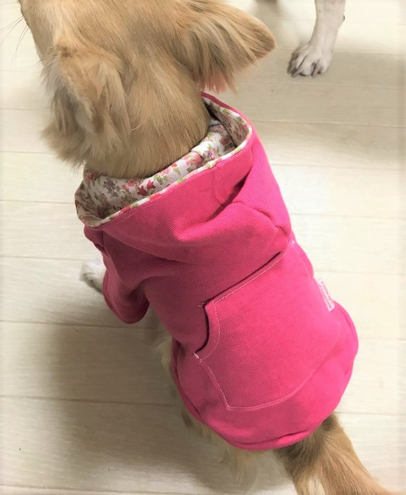 犬服　楽ちん　フードトレーナー 3枚目の画像