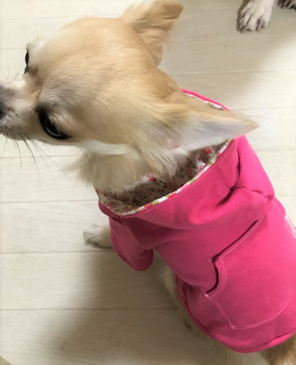 犬服　楽ちん　フードトレーナー 4枚目の画像