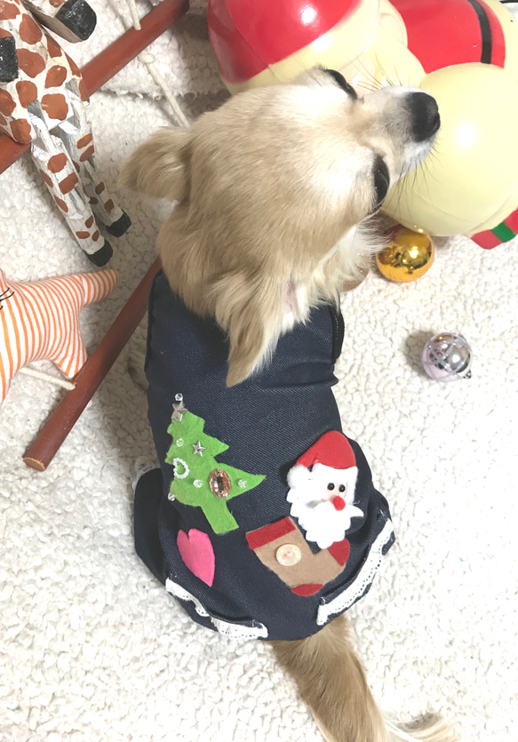 クリスマス用 犬服ロンパース 1枚目の画像