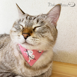 Serious Collar [Shimaenaga 圖案米色] 顯眼頭巾風格/貓友好型可選擇帶扣貓項圈安全項圈小貓成年貓 第7張的照片