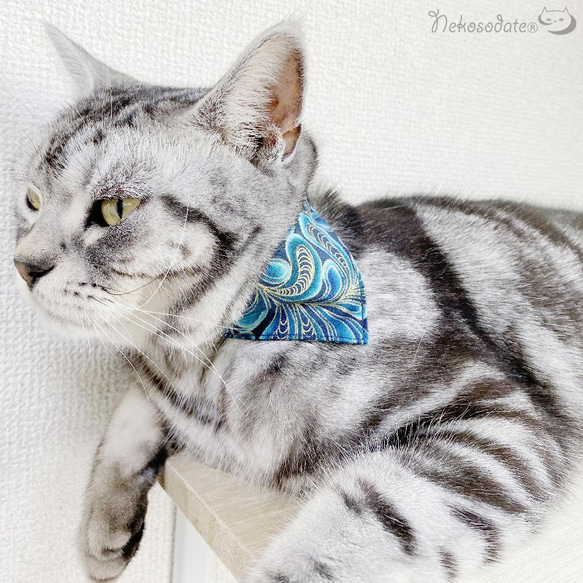 Serious Collar【羽毛圖案藍綠色】顯眼頭巾款式/貓友好型可選扣貓項圈安全項圈小貓成年貓 第7張的照片