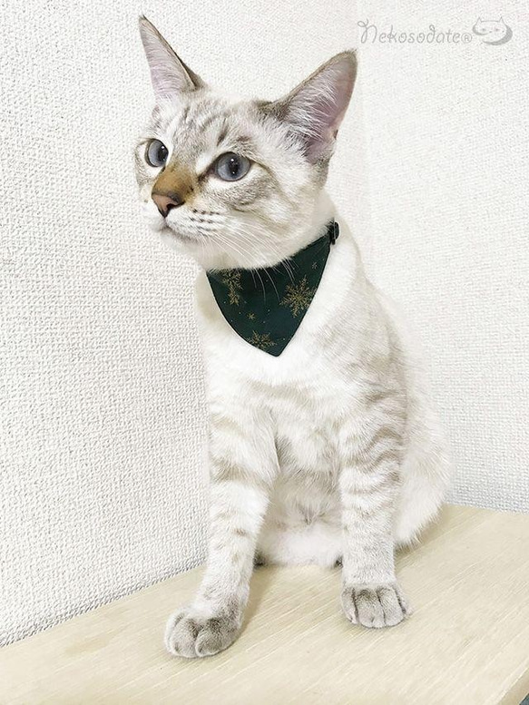 まじめな首輪【ビッグスノー柄】目立つバンダナ風／猫にやさしい選べるアジャスター猫首輪 安全首輪 子猫 成猫 2枚目の画像