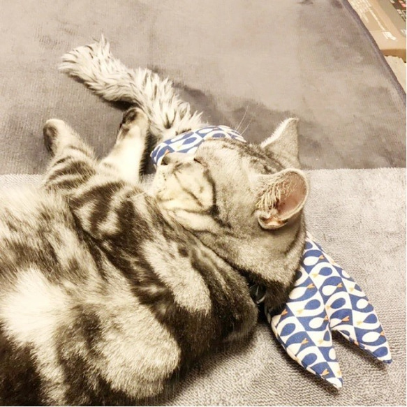 【カエデ様専用】猫型キッカー／ふさふさ尻尾つき＋プラ鈴入り 3枚目の画像