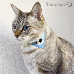 Serious Collar [貓和飯糰圖案藍色] 顯眼頭巾風格/貓友好型可選擇調節器貓項圈安全項圈小貓成年貓 第2張的照片