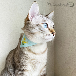 Serious Collar [含羞草圖案藍色] 顯眼頭巾風格/貓友好型可選擇調節貓項圈安全項圈小貓成年貓 第7張的照片