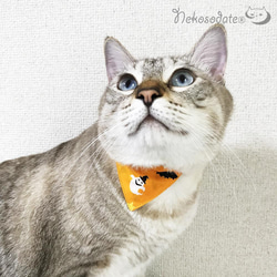 Serious Collar [萬聖節快樂圖案橙色] 顯眼頭巾風格/貓友好型可選調節貓項圈安全項圈小貓成年貓 第1張的照片