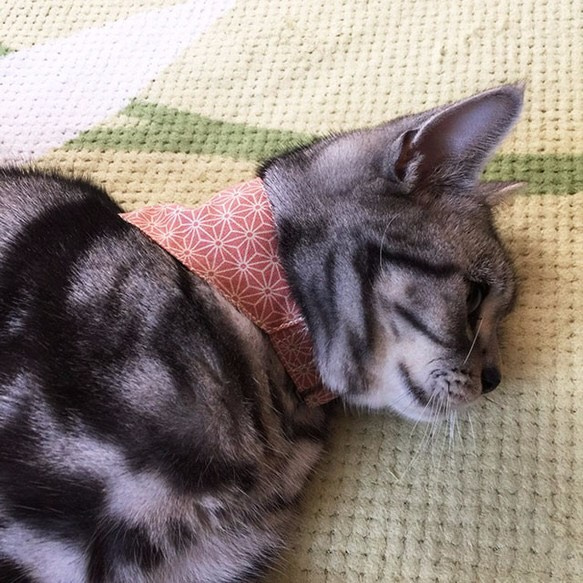 【麻の葉柄ピンク】猫用バンダナ風首輪／猫にやさしい選べるバックル猫首輪 安全首輪 子猫から成猫 2枚目の画像
