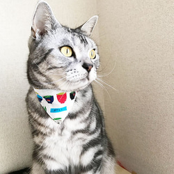Serious Collar [Agari Iccho 圖案] 顯眼頭巾風格/貓友好型可選擇帶扣貓項圈安全項圈小貓成年貓 第9張的照片