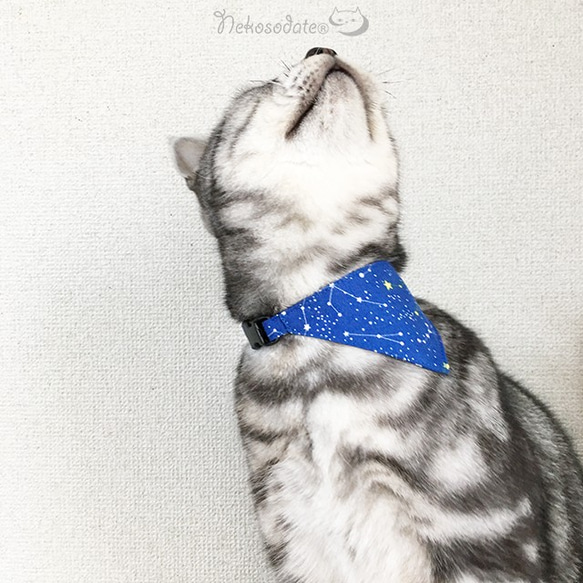 【星図柄】猫用バンダナ風首輪／選べるアジャスター 猫首輪 安全首輪 子猫から成猫 1枚目の画像