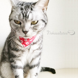 【任何花卉圖案】貓為領帶式領/安全扣選擇貓領安全領 第1張的照片