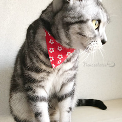 【いかにも花柄】猫用バンダナ風首輪／選べるセーフティバックル　猫首輪　安全首輪 3枚目の画像