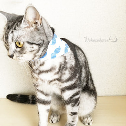 【Kaisel Beard Pattern】用於Cat /安全扣的Bandana衣領選擇貓領安全衣領鬍鬚 第1張的照片