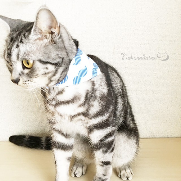 【Kaisel Beard Pattern】用於Cat /安全扣的Bandana衣領選擇貓領安全衣領鬍鬚 第1張的照片