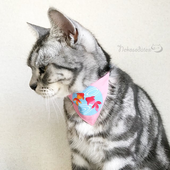 [金魚圖案] 頭巾式貓項圈/調節器選擇 貓項圈 安全項圈 成年貓從小貓 第1張的照片