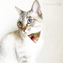 Serious Collar [Chrysanthemum Pattern] 顯眼的頭巾風格 / Cat-Friendly Se 第1張的照片