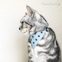 嚴肅項圈【牛仔星星圖案】顯眼頭巾式/貓友好可選調節器貓項圈安全項圈小貓成年貓 第1張的照片