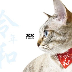 【猫の記念日がまあまあ入ってる】ネコソダテ2020カレンダー 1枚目の画像