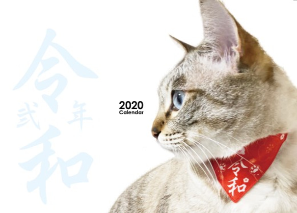 【猫の記念日がまあまあ入ってる】ネコソダテ2020カレンダー 1枚目の画像