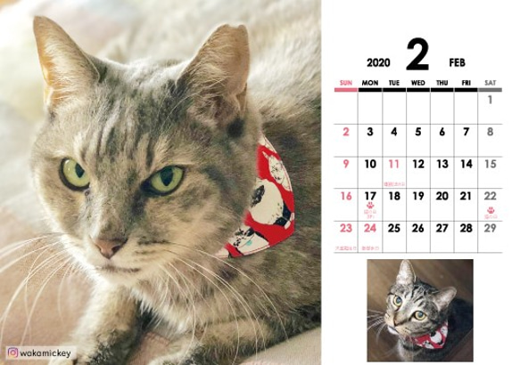 【猫の記念日がまあまあ入ってる】ネコソダテ2020カレンダー 5枚目の画像