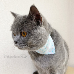 Serious Collar [粉彩心形圖案] 顯眼頭巾風格/貓友好型可選擇帶扣貓項圈安全項圈小貓成年貓 第2張的照片