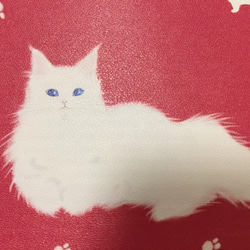 受注生産　猫ちゃんパスケース　メインクーン　12色　　　 3枚目の画像